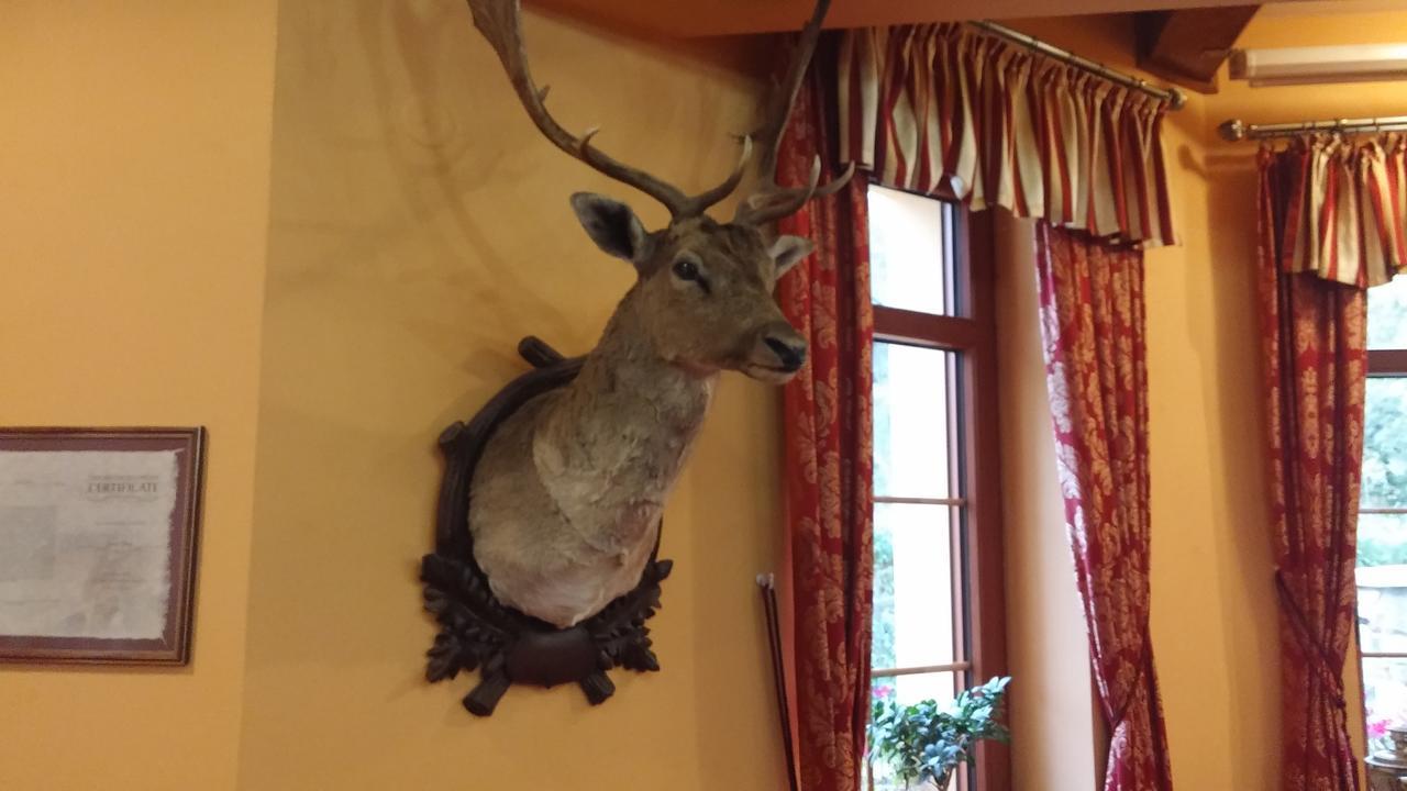 Hotel Zamecek Kaliste Poddubí Zewnętrze zdjęcie